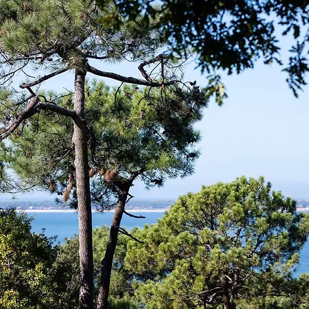 Panzió Chistera Pyla-sur-Mer