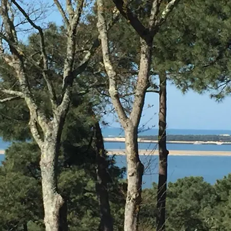 Chistera