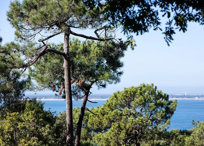 Bed & Breakfast Chistera Pyla Sur Mer